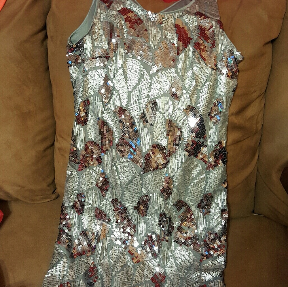 Silver Sequin Dress