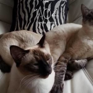 Meet your Posher, Patty