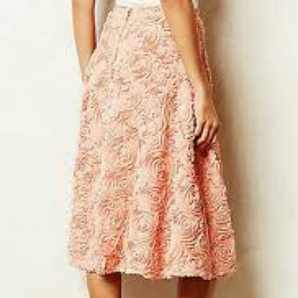 Antropologie, rosette tea length skirt HD in Paris - Picture 2 of 3