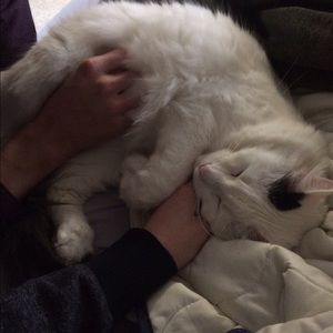 Meet your Posher, Grace