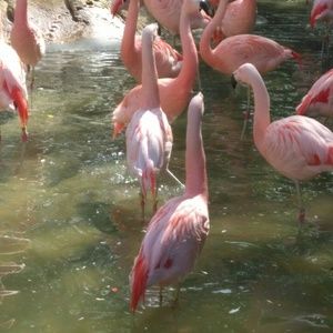 Meet your Posher, Shauna