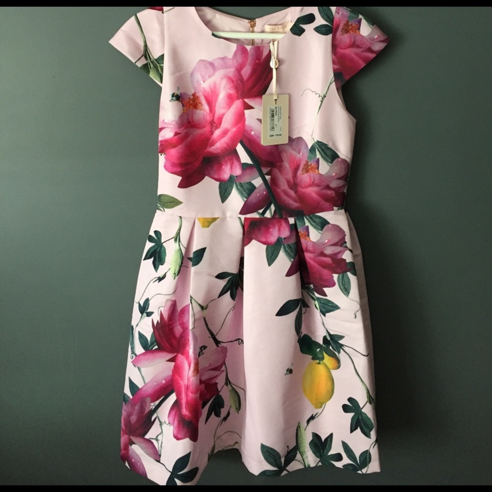 Ted baker dress