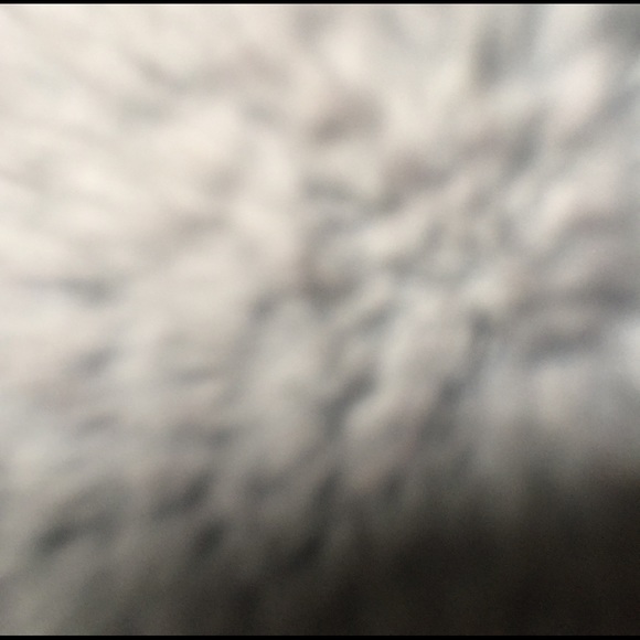 Meet your Posher, Jose - Picture 1 of 1