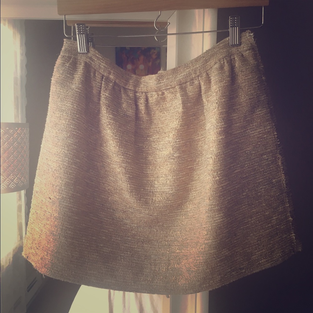 Zara Sparkly Nude Mini Skirt