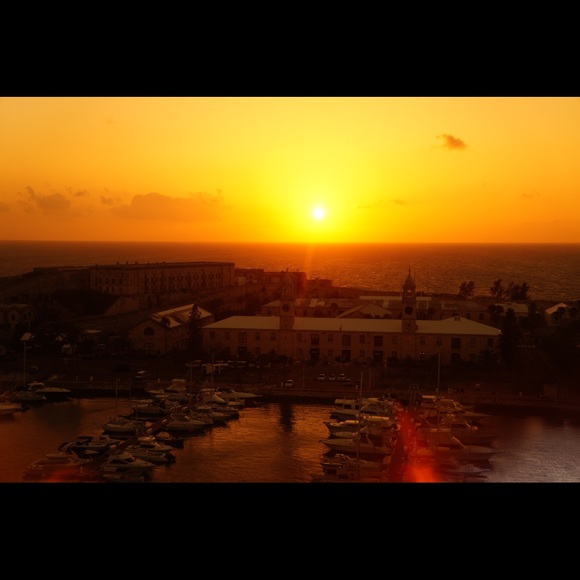 Meet your Posher, Aimee - Picture 1 of 1