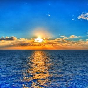 Meet your Posher, Chloe