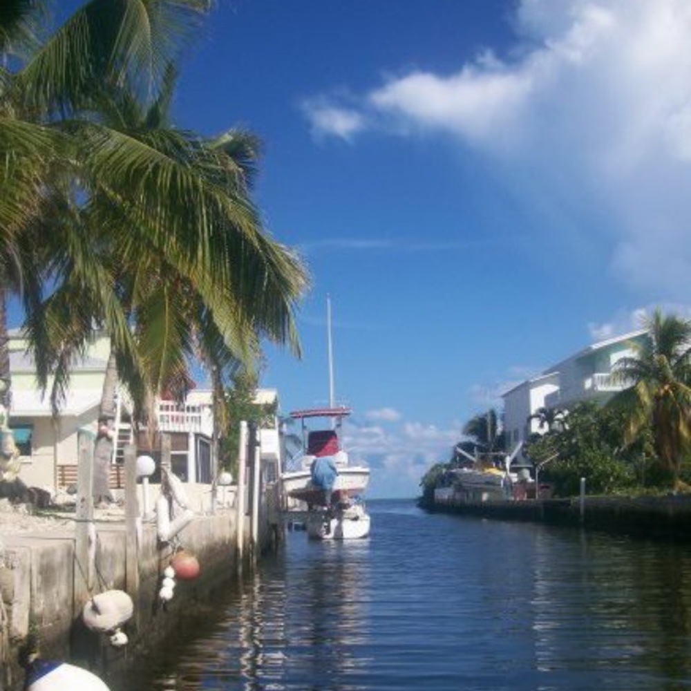 Meet your Posher, Monique