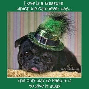 Meet your Posher, Jeannie