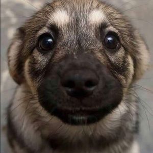 Meet your Posher, Sergio