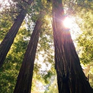 Meet your Posher, Marjorie