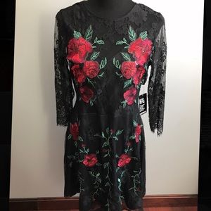 EXPRESS LACE AND ROSE DRESS