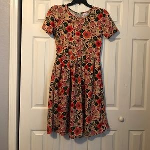 Large Lularoe Amelia