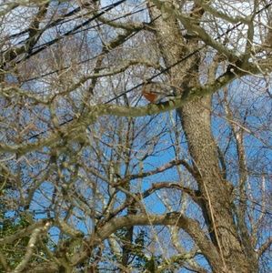 Meet your Posher, Mia