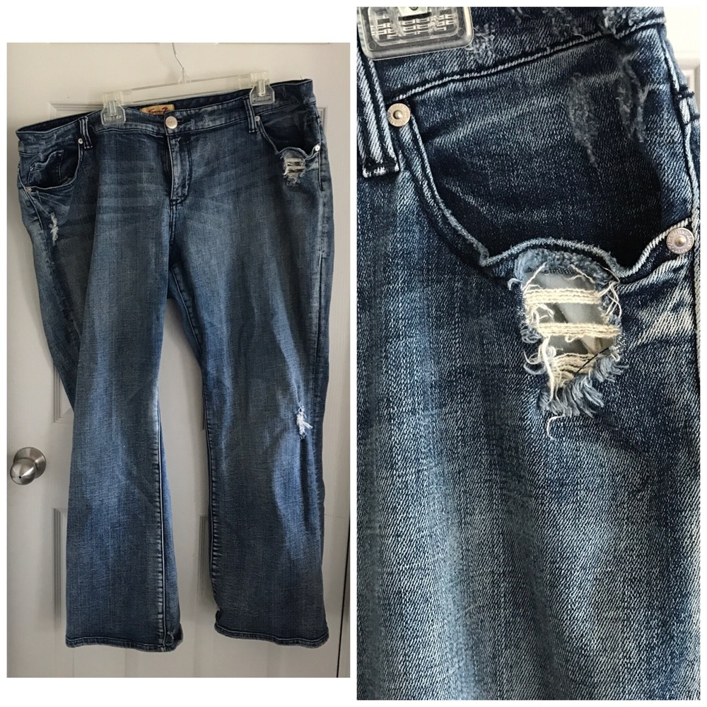 7 Jeans for Lane Bryant
