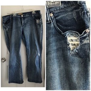 7 Jeans for Lane Bryant