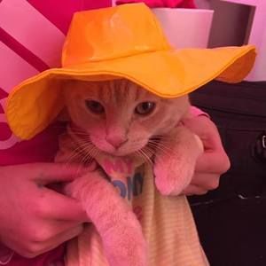 Meet your Posher, Jodi