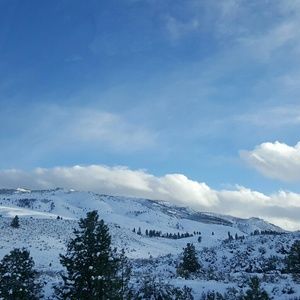 Meet your Posher, Maya