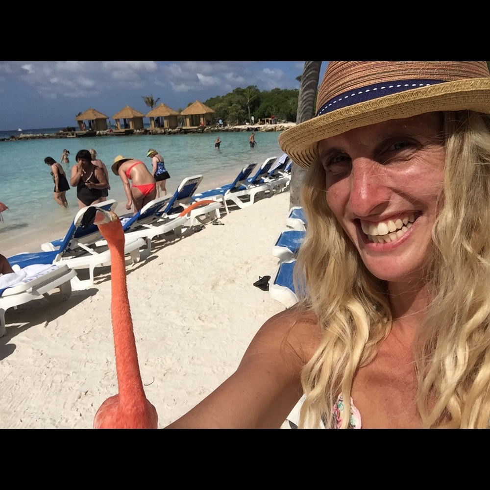 Meet your Posher, Julie