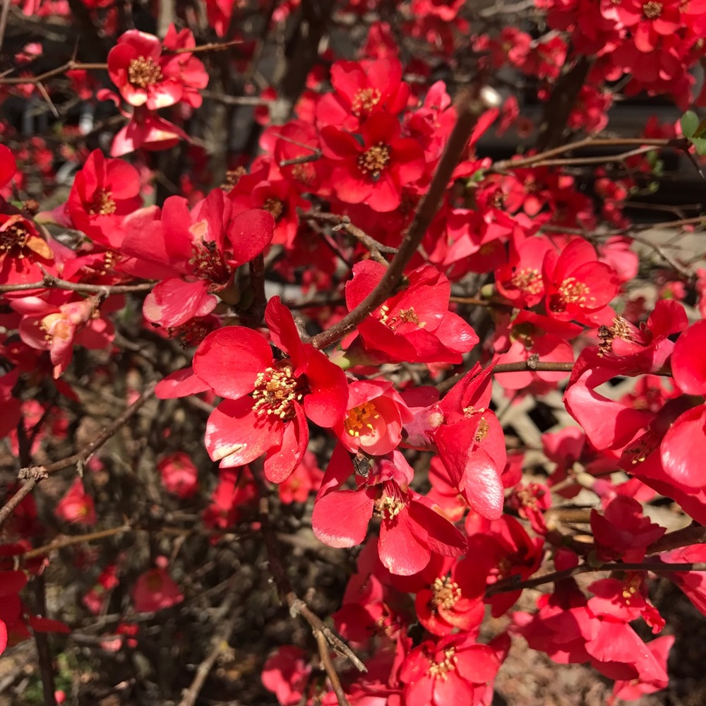 Meet your Posher, Melody