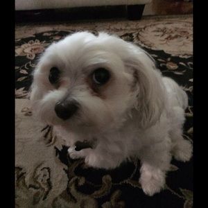 All my items come from a SMOKE FREE home!