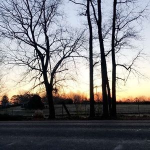 Meet your Posher, Ben