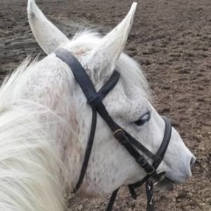 Meet your Posher, Kristine