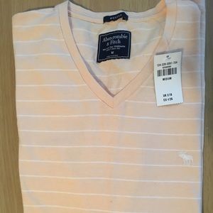 Abercrombie & Fitch Short Sleeve Stripped Shirt