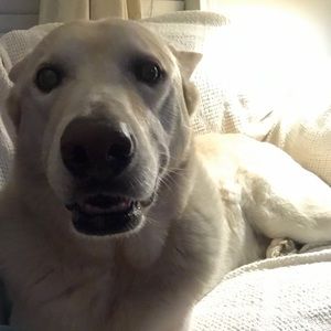 Meet your Posher, Nadia