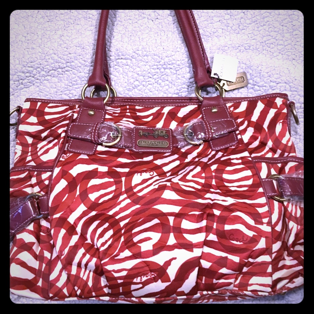 Coach inspired purse
