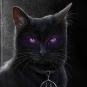 Meet your Posher, Cheryl