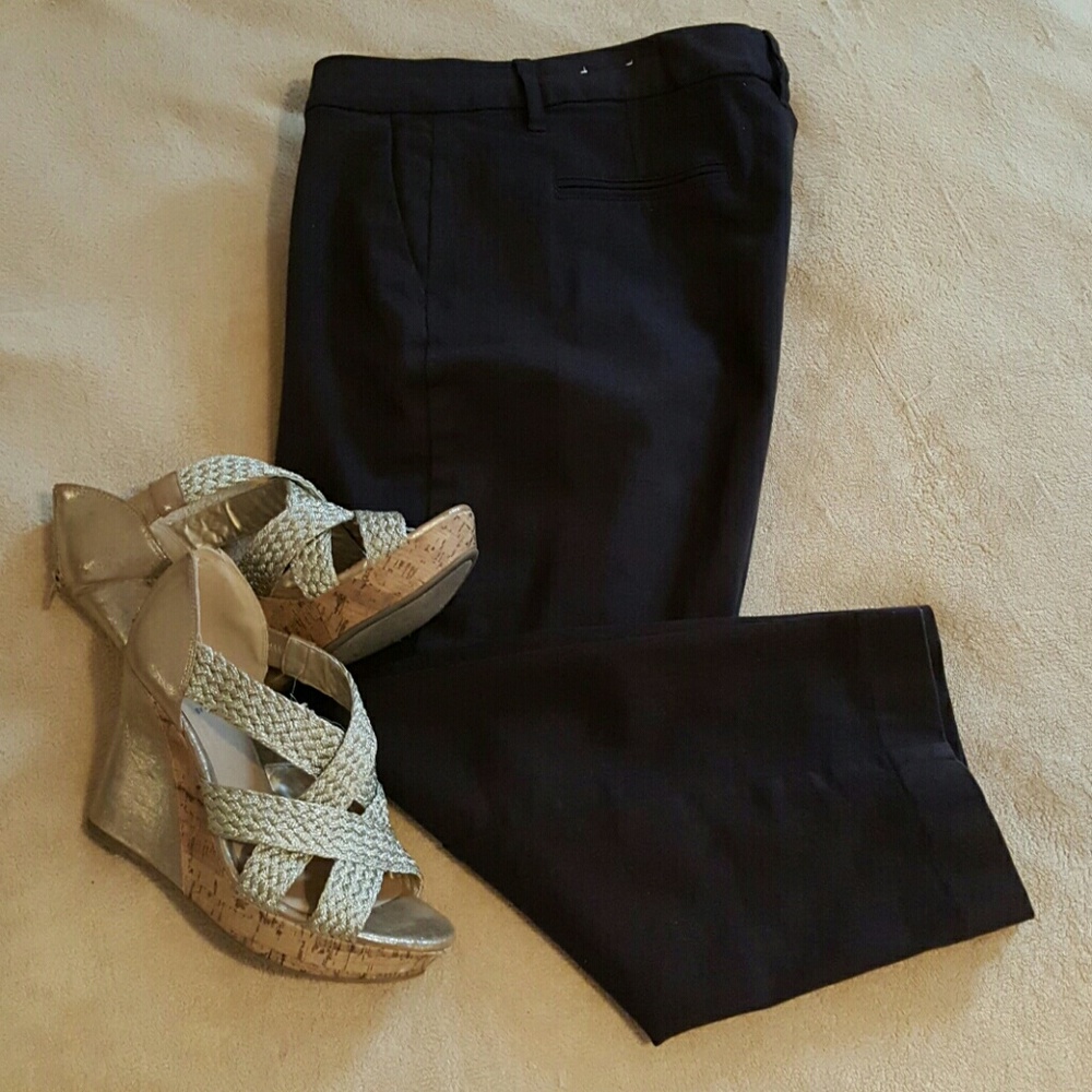 NWOT Coldwater Creek Chocolate Ankle Pants, 16