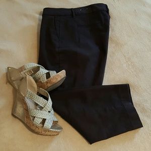 NWOT Coldwater Creek Chocolate Ankle Pants, 16