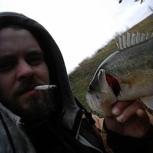 Meet your Posher, Steven