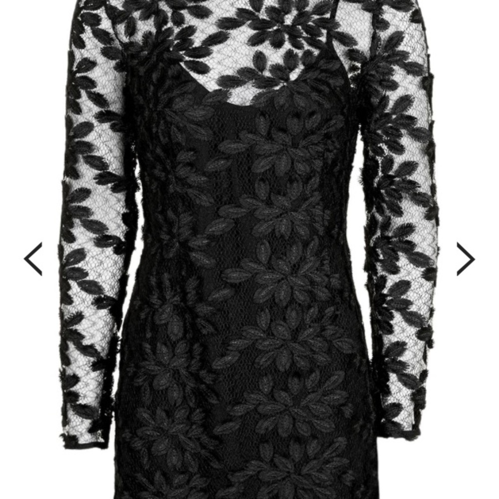 TopShop Long Sleeve Leaf Appliqué Dress