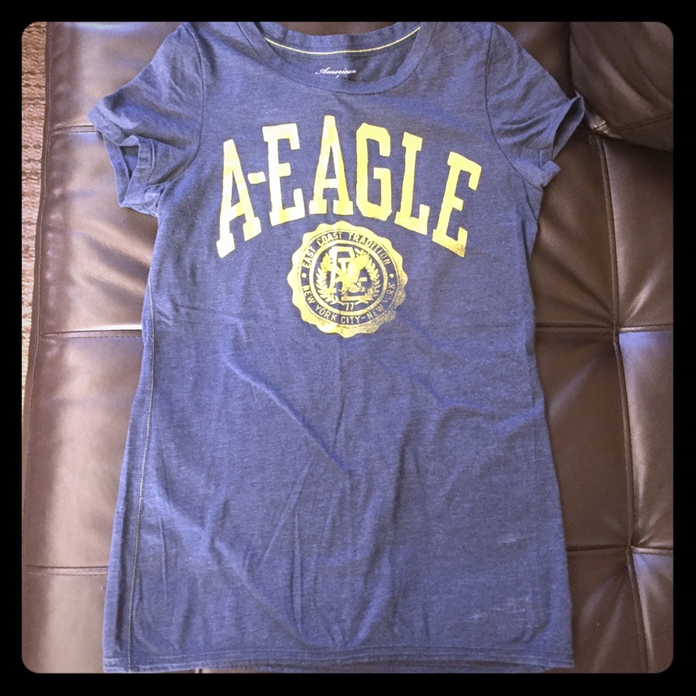 American Eagle Graphic T-shirt Heather Blue/Green