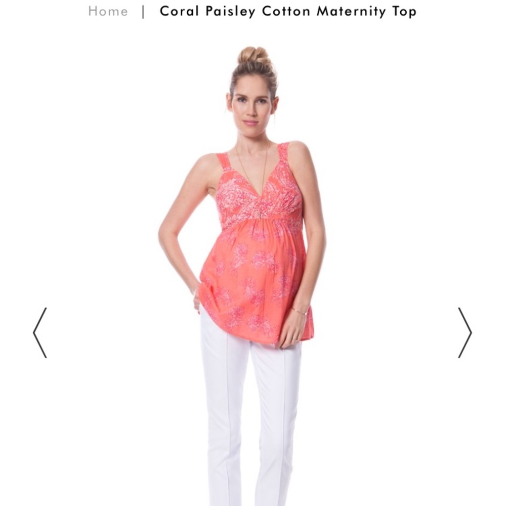 Seraphine maternity top