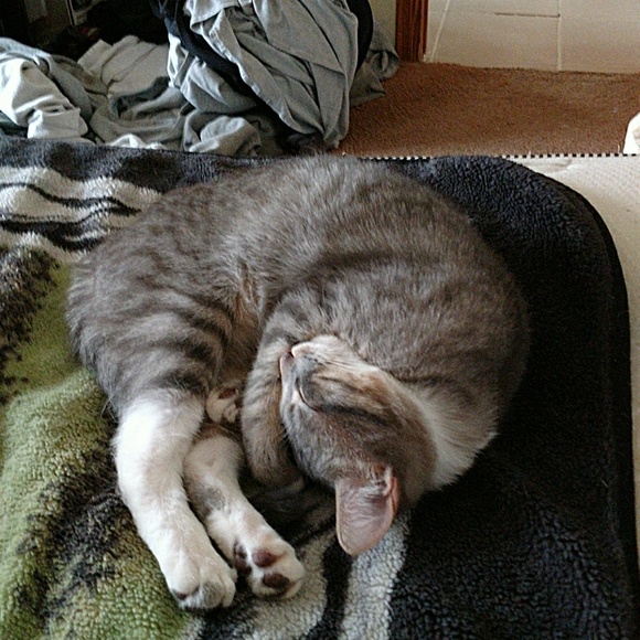 Meet your Posher, Courtney - Picture 1 of 1