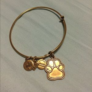 Alex and Ani gold bangle