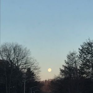 Meet your Posher, Jona