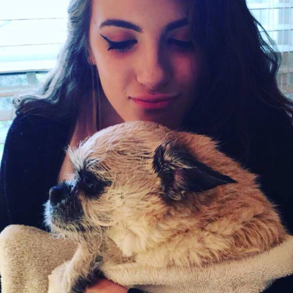 Meet your Posher, Hannah