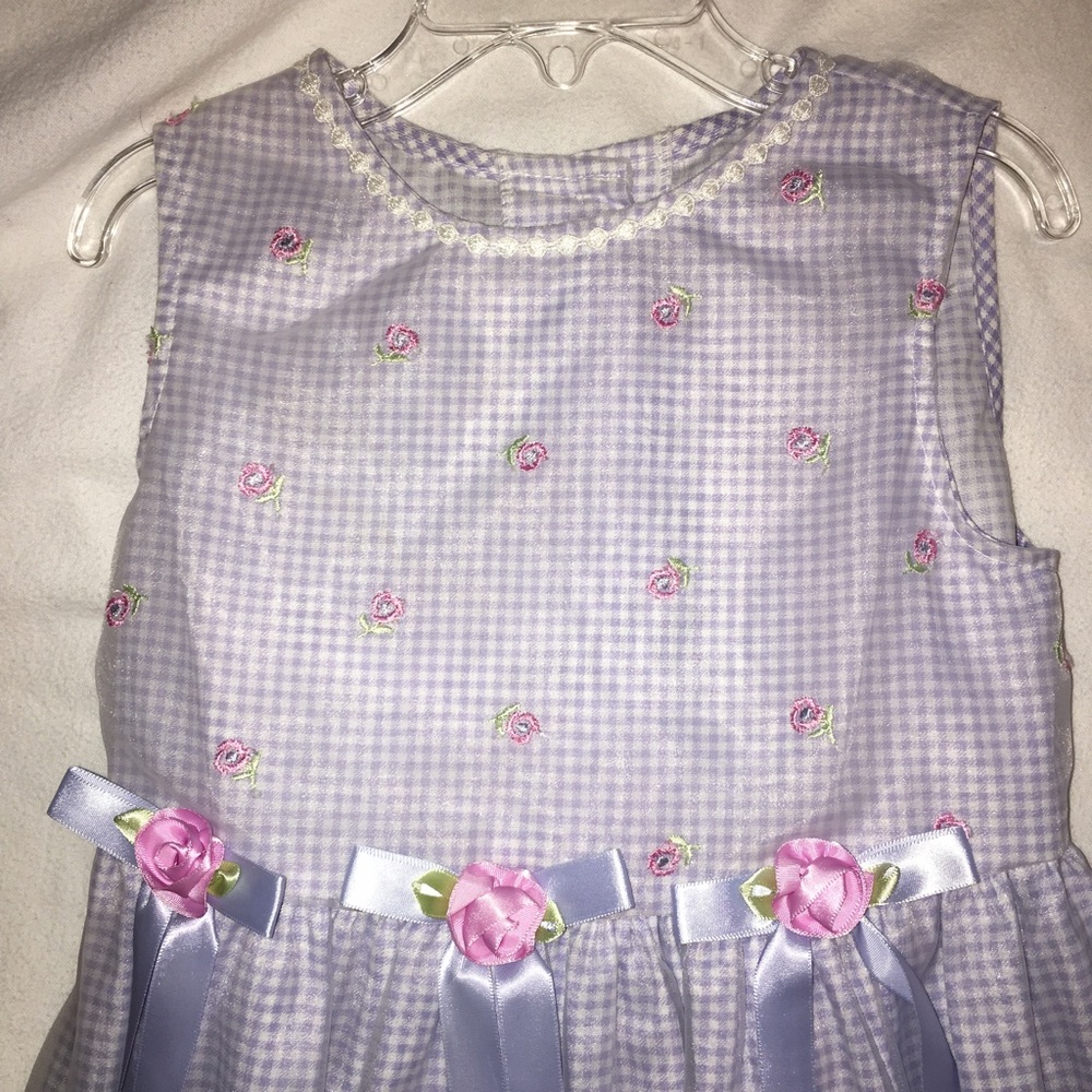Bonnie Jean Blue and White Gingham dress