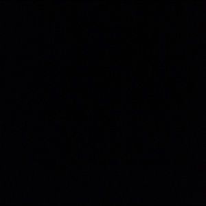 Meet your Posher, Benjamin