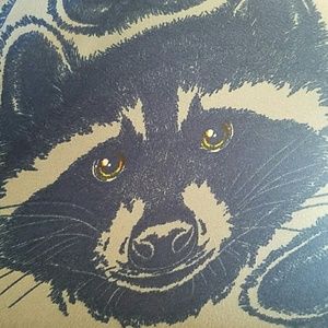 Lularoe TC Raccoon leggings WITH AMBER EYES