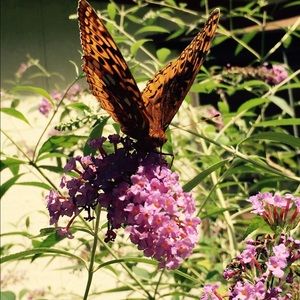 Meet your Posher, Cathy