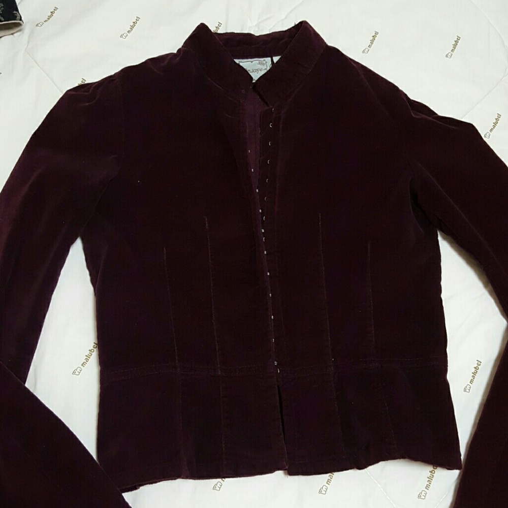 Beautiful velvet jacket
