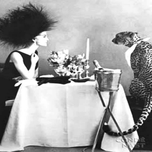 Meet your Posher, Talya - Picture 2 of 4