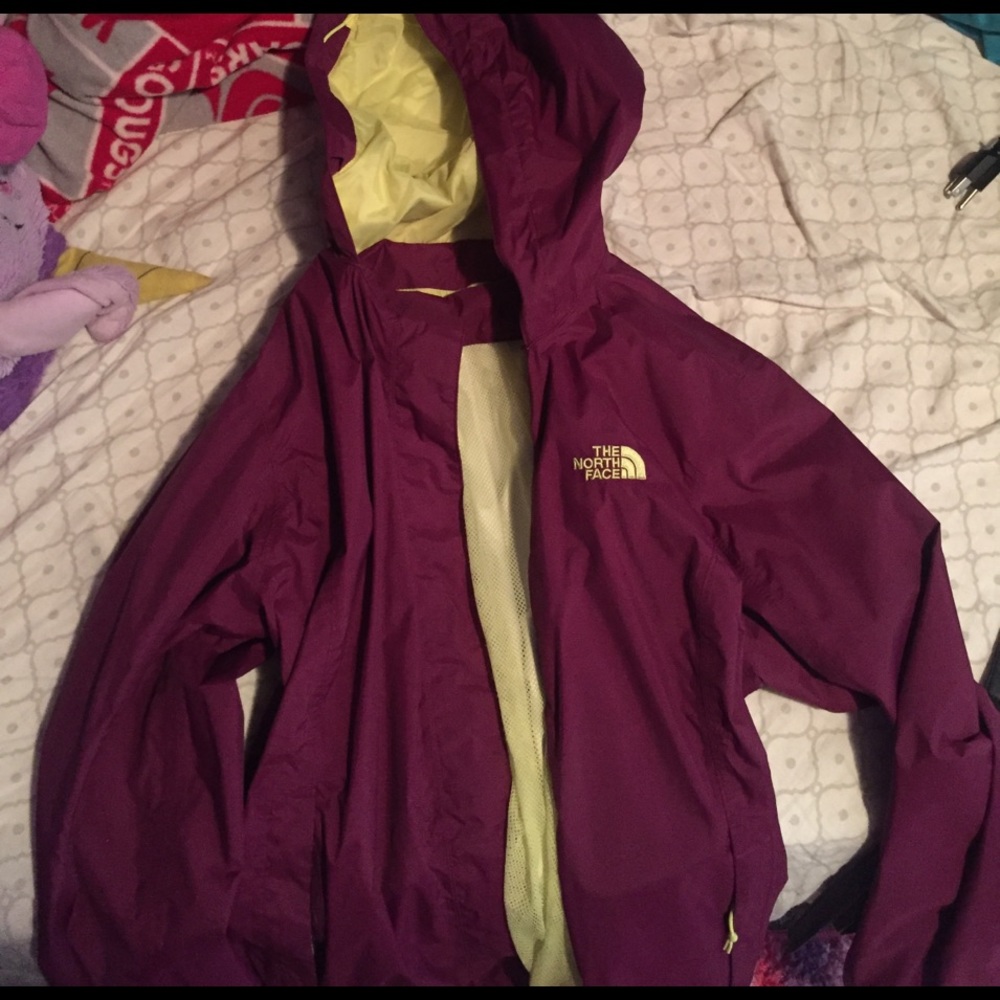 The north face jacket