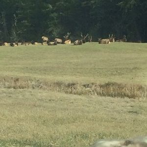 Meet your Posher, Shawn