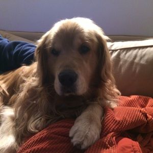 Meet your Posher, Mindy