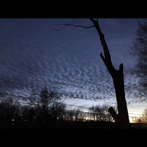 Meet your Posher, Wendy